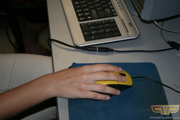 ������ ���