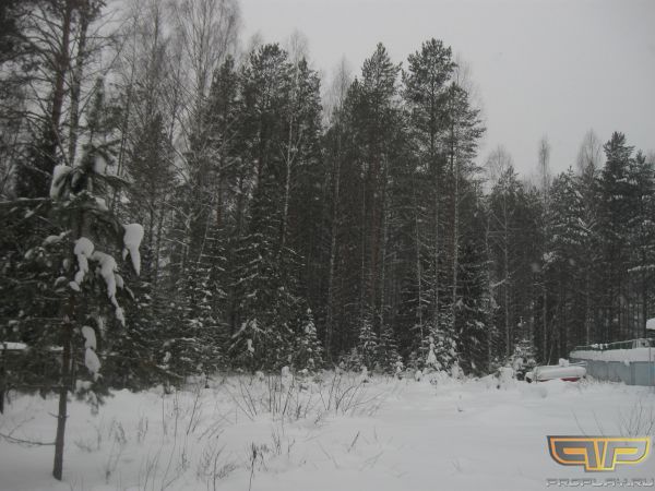 ������� ������ ���� - 2